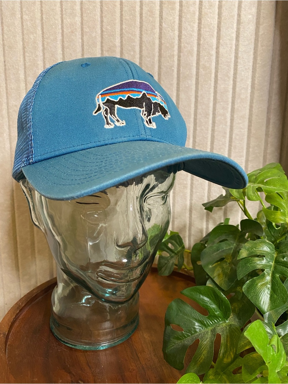 VTG Patagonia Cap Fitz Roy Buffalo Bison Trucker Hat Teal Mesh Back Snapback
